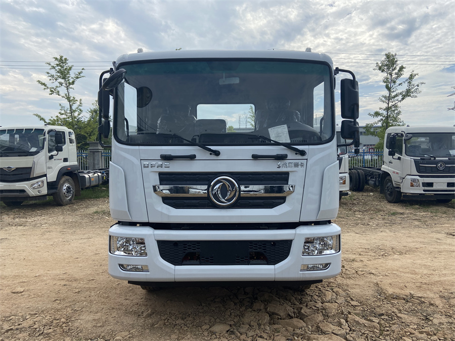 東風(fēng)D9（3950，康明斯230）國六 內(nèi)飾照片圖